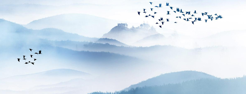 1556084084303324.jpg 790高升專.jpg